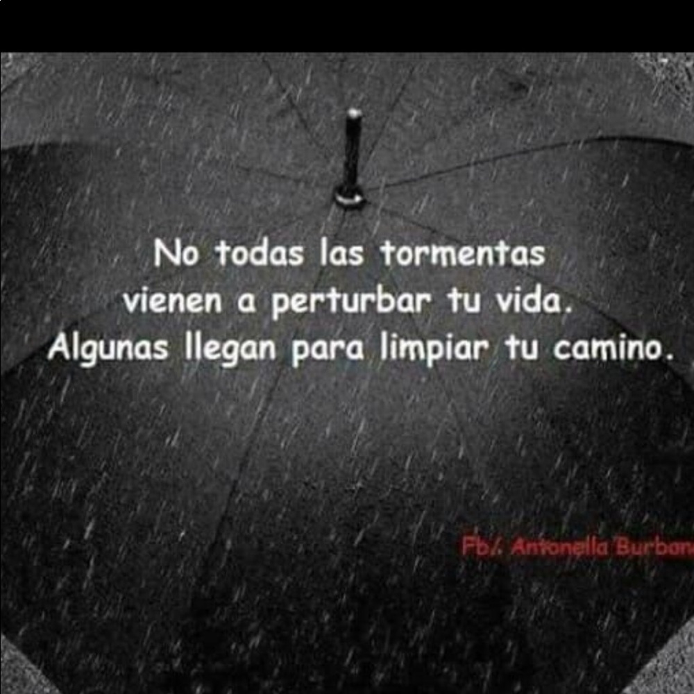 Meet your Posher, Irma